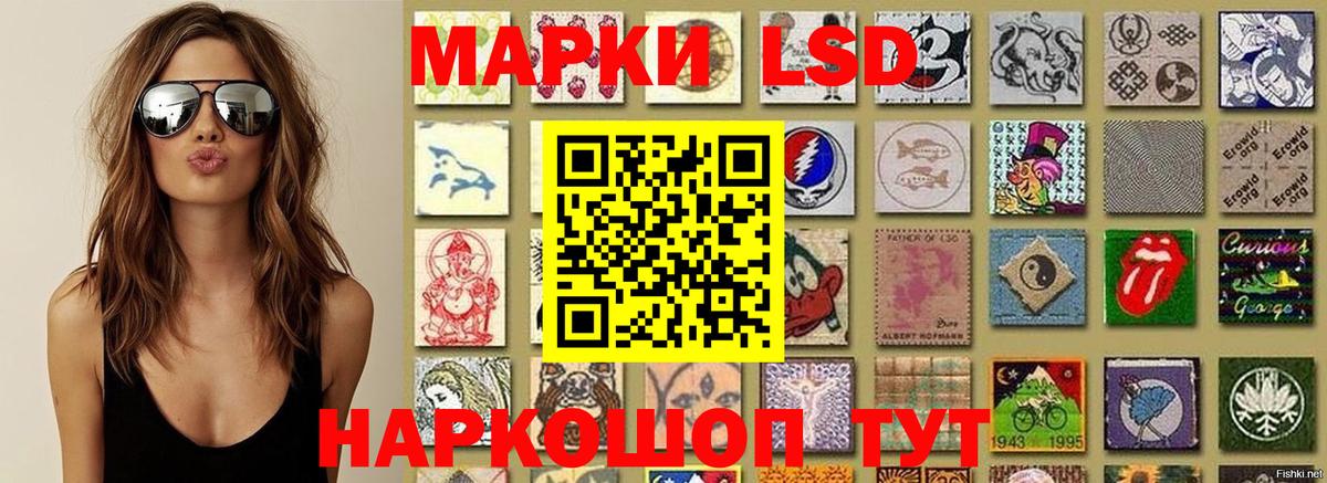 Карабулак  Марки N-bome 1,5мг  Вход с VPN 