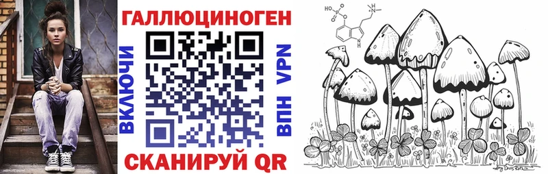 Псилоцибиновые грибы GOLDEN TEACHER Карабулак
