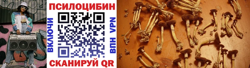 MEGA tor  где продают наркотики  Карабулак  Псилоцибиновые грибы мицелий 